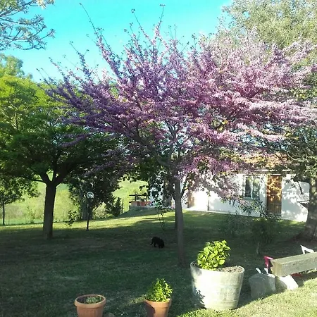 Da Remo Magliano in Toscana