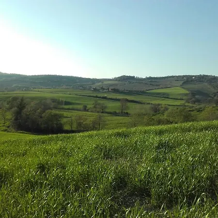 Da Remo Magliano in Toscana