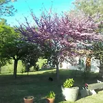 Da Remo Magliano in Toscana