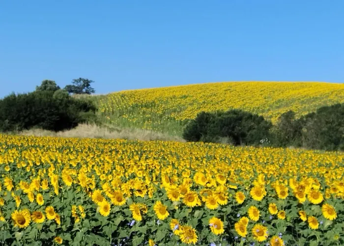 Çiftlik konaklama Da Remo *